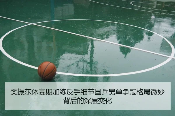 樊振东休赛期加练反手细节国乒男单争冠格局微妙背后的深层变化