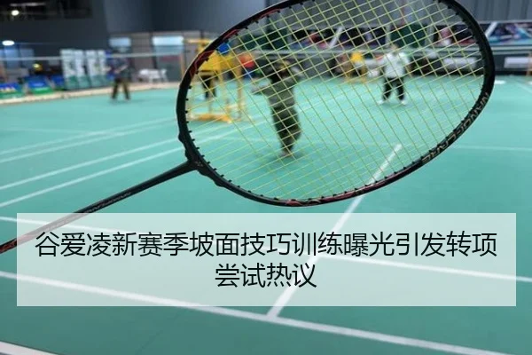 谷爱凌新赛季坡面技巧训练曝光引发转项尝试热议