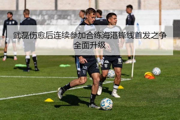武磊伤愈后连续参加合练海港锋线首发之争全面升级
